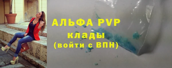 apvp Алзамай