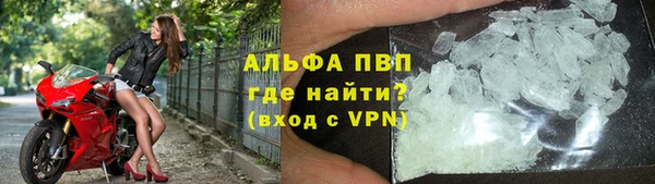 apvp Алзамай