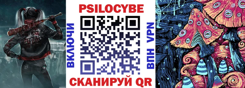 магазин продажи   Салехард  Галлюциногенные грибы Psilocybe 